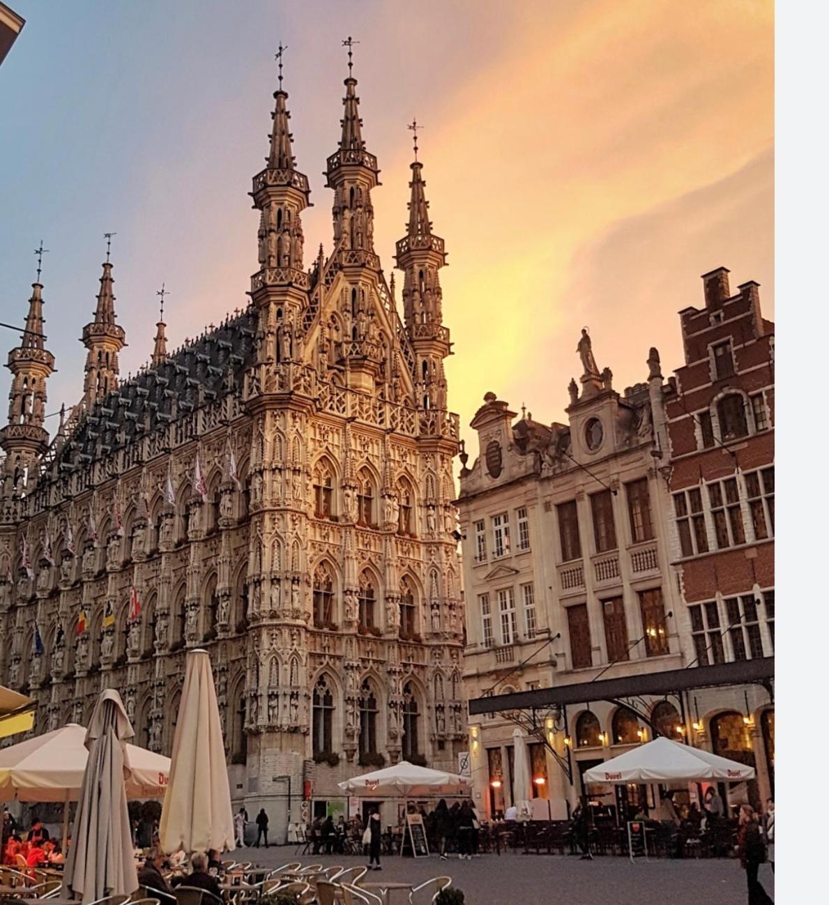 Goodnight Leuven Mini Hotel - Self Check-In Экстерьер фото